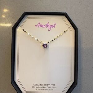 Amethyst necklace with 14k gold 18” chain